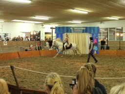IMG_5257_web
